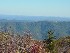 Outlook near Dolly Sods